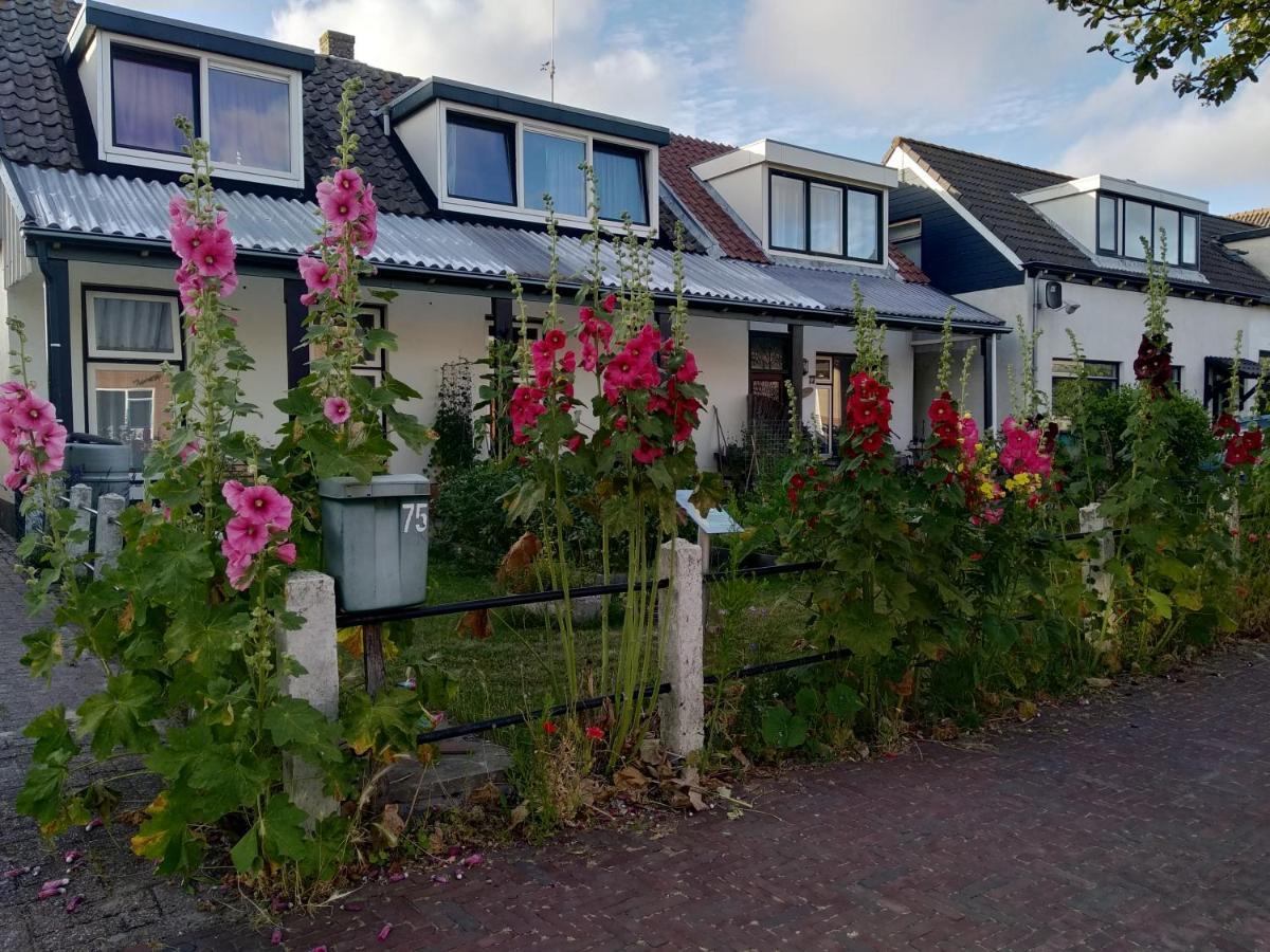 B&B Txl De Cocksdorp  Luaran gambar