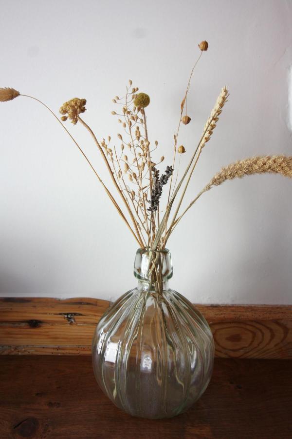 B&B Txl De Cocksdorp  Luaran gambar